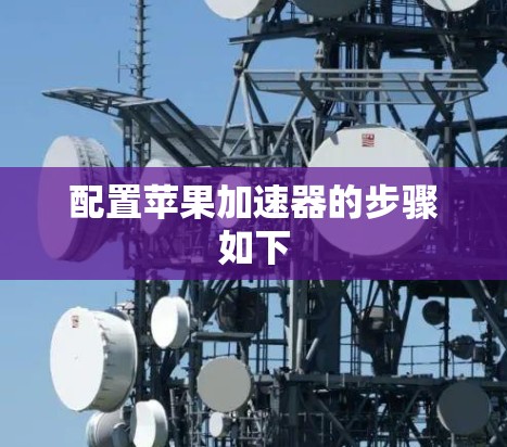 配置苹果加速器的步骤如下