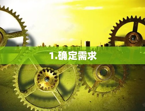 1.确定需求