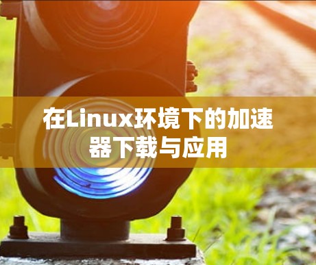 在Linux环境下的加速器下载与应用