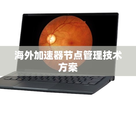 海外加速器节点管理技术方案