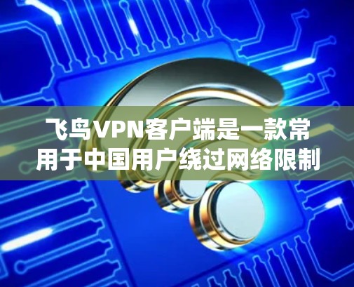 飞鸟VPN客户端是一款常用于中国用户绕过网络限制的VPN服务。由于中国的互联网访问政策较为严格,许多网站和服务可能无法直接访问,因此VPN客户端成为了一种常用的解决方案