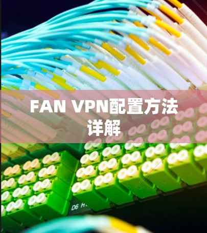 FAN VPN配置方法详解