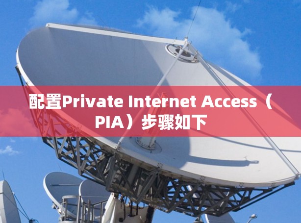 配置Private Internet Access(PIA)步骤如下