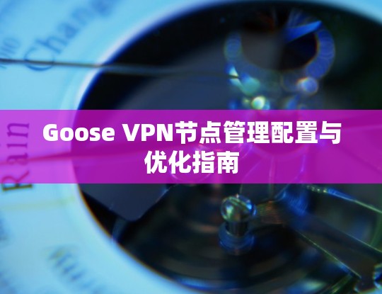 Goose VPN节点管理配置与优化指南