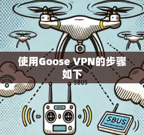 使用Goose VPN的步骤如下