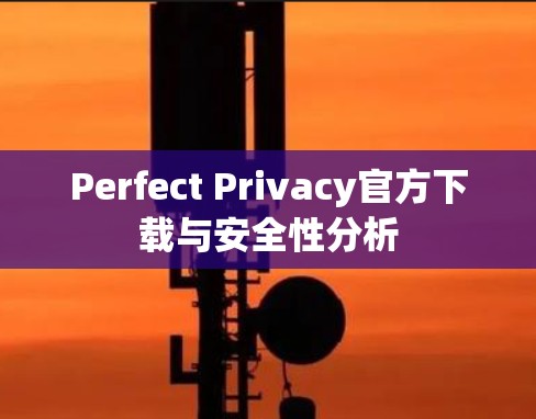 Perfect Privacy官方下载与安全性分析
