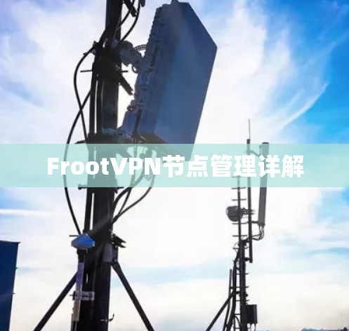 FrootVPN节点管理详解