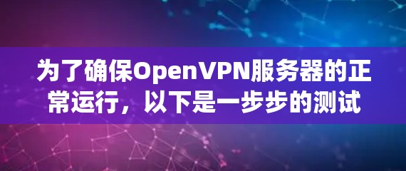 为了确保OpenVPN服务器的正常运行,以下是一步步的测试指南 为了确保OpenVPN服务器的正常运行,以下是一步步的测试指南