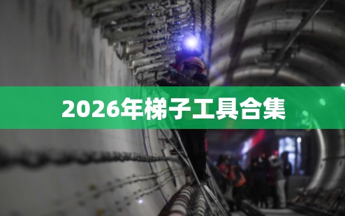 2026年梯子工具合集 2026年梯子工具合集