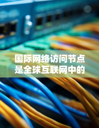 国际网络访问节点是全球互联网中的骨干设施，用于将数据包从一个国家或地区的网络转移到另一个国家或地区的网络中。它们通常由大型企业、研究机构、政府部门或国际互联网服务提供商运营