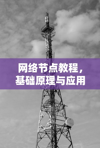 网络节点教程,基础原理与应用实践 网络节点教程,基础原理与应用实践
