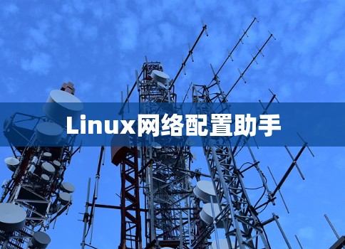 Linux网络配置助手
