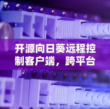 开源向日葵远程控制客户端,跨平台高效解决方案 开源向日葵远程控制客户端,跨平台高效解决方案