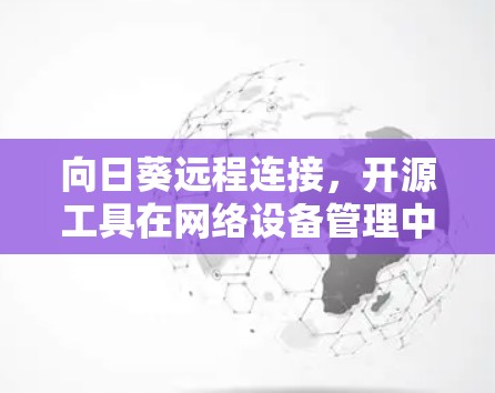 向日葵远程连接，开源工具在网络设备管理中的应用