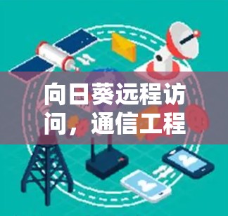 向日葵远程访问，通信工程师的技术分析