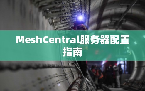 MeshCentral服务器配置指南