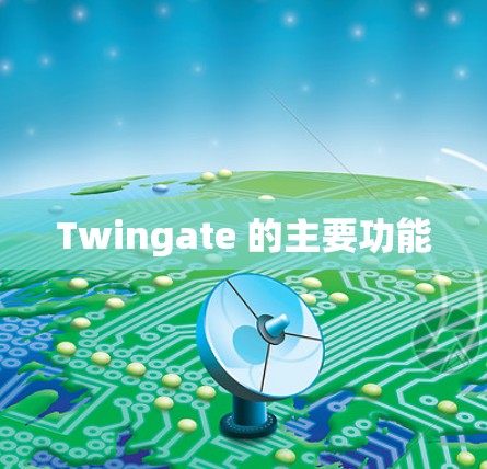 Twingate 的主要功能 Twingate 的主要功能