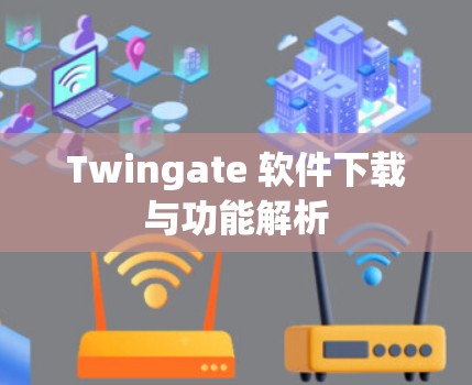 Twingate 软件下载与功能解析