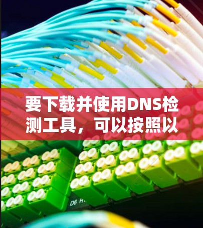 要下载并使用DNS检测工具，可以按照以下步骤进行