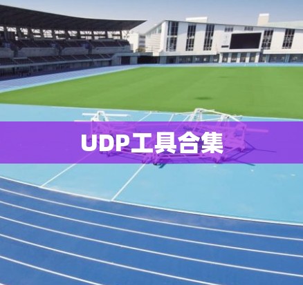 UDP工具合集 UDP工具合集