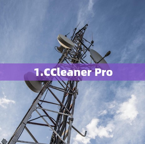 1.CCleaner Pro