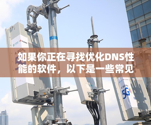 如果你正在寻找优化DNS性能的软件，以下是一些常见的工具和解决方案