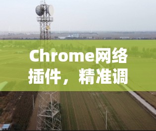 Chrome网络插件,精准调控网络资源的关键工具 Chrome网络插件,精准调控网络资源的关键工具