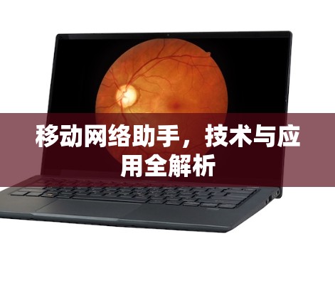 移动网络助手,技术与应用全解析 移动网络助手,技术与应用全解析