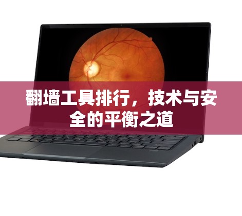 翻墙工具排行，技术与安全的平衡之道