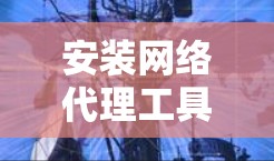 安装网络代理工具分为几个步骤，确保每个环节都处理得当，以顺利完成配置和使用。以下是详细的步骤指南