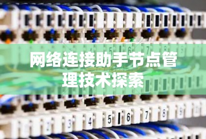 网络连接助手节点管理技术探索 网络连接助手节点管理技术探索