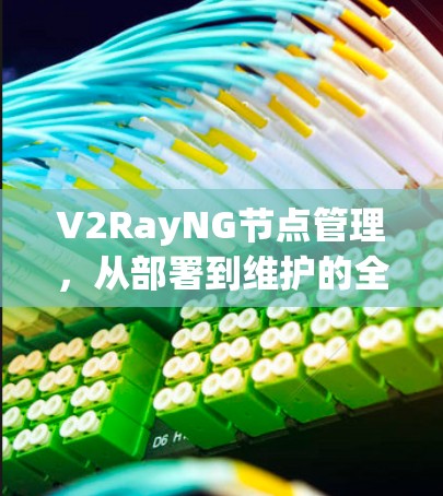 V2RayNG节点管理,从部署到维护的全指南 V2RayNG节点管理,从部署到维护的全指南