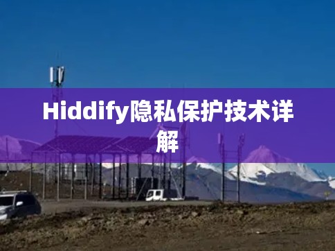 Hiddify隐私保护技术详解
