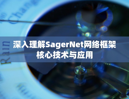深入理解SagerNet网络框架核心技术与应用