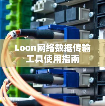 Loon网络数据传输工具使用指南